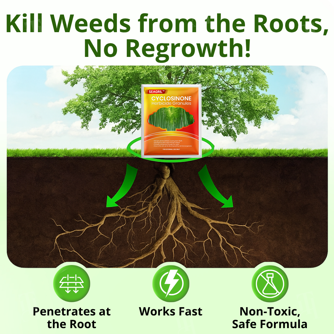 SEAGRIL™ Cyclosinone Herbicide Granules (𝟟𝟘% 𝕆𝔽𝔽 𝗘𝗡𝗗𝗦 𝗜𝗡 𝟭𝟬 𝗠𝗜𝗡𝗨𝗧𝗘𝗦)