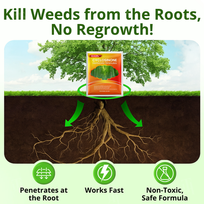 SEAGRIL™ Cyclosinone Herbicide Granules (𝟟𝟘% 𝕆𝔽𝔽 𝗘𝗡𝗗𝗦 𝗜𝗡 𝟭𝟬 𝗠𝗜𝗡𝗨𝗧𝗘𝗦)